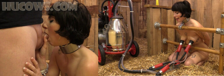 Kiki – oral training and red cow milker