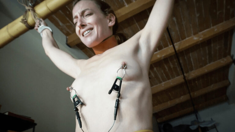 Stuffed, Clamped and Electrified