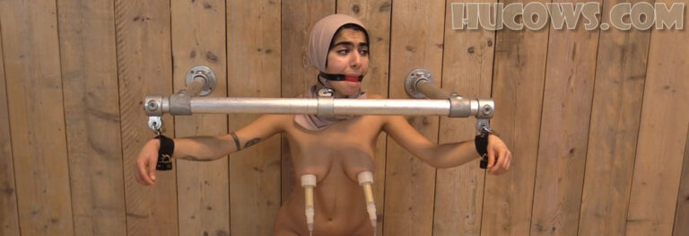 Aisha – Persian HuCow