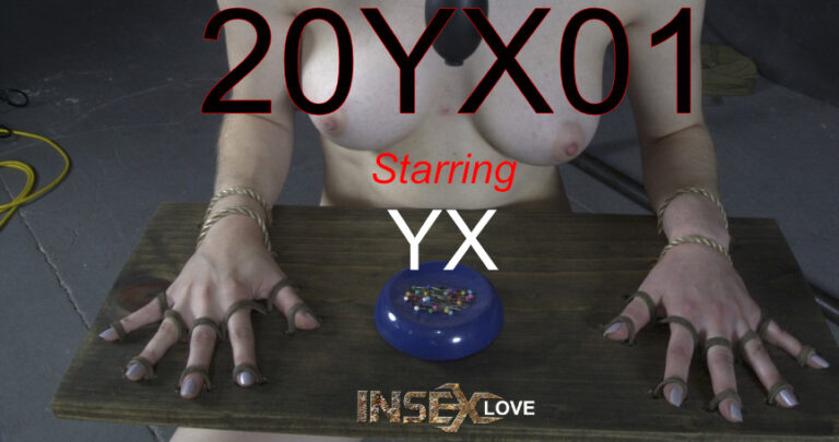 20YX01