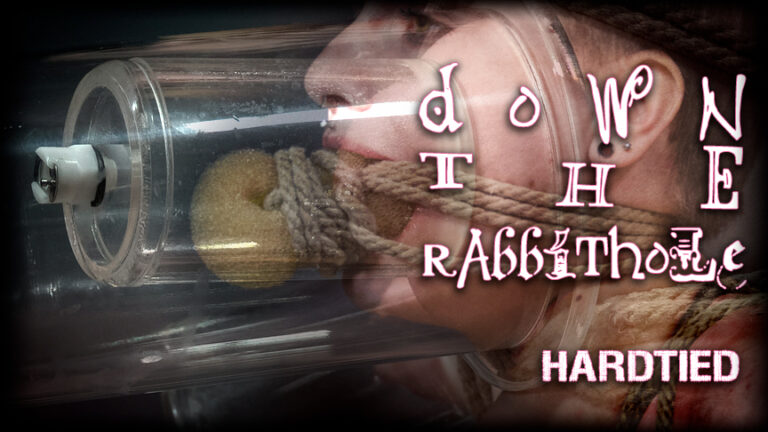 Down the Rabbit Hole