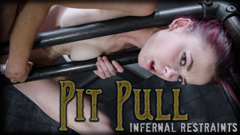 Pit Pull